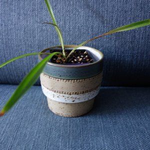 Decorative Ceramic Pot